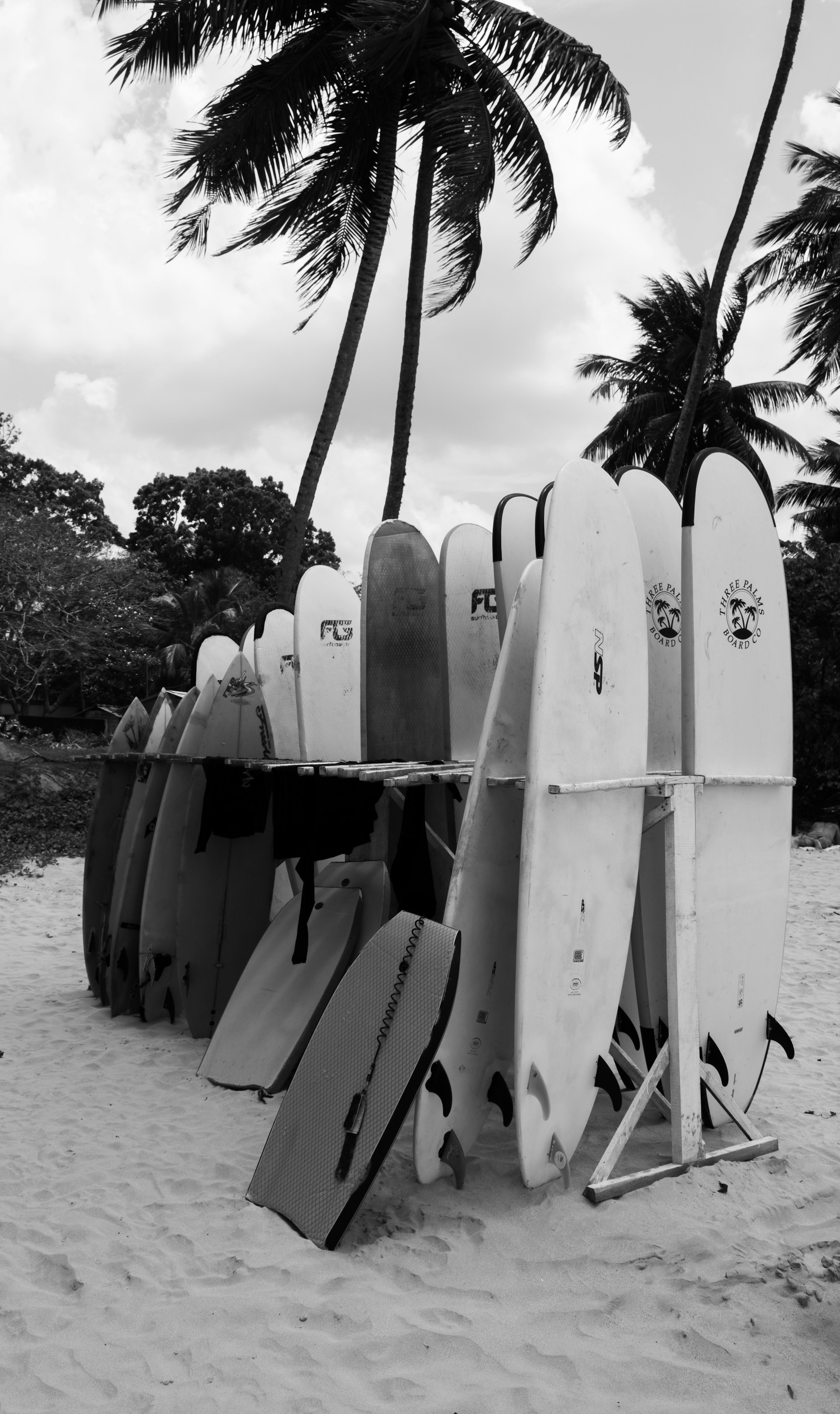 Colourful surfboards lined up on the sand at Mirissa Beach, Sri Lanka